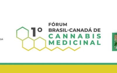 Fórum discute uso da cannabis medicinal