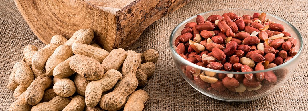 Brazilian peanut conquers the Canadian market