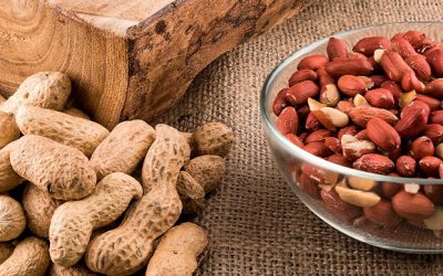 Brazilian peanut conquers the Canadian market