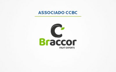 With its sights abroad, Braccor restructures processes