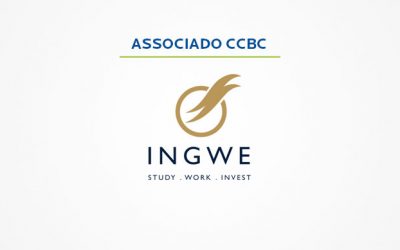Ingwe oferece consultoria em imigração