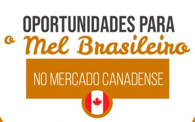 Mel brasileiro adoça paladar canadense