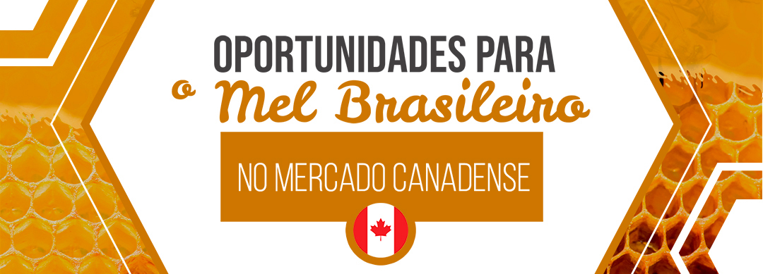 Mel brasileiro adoça paladar canadense