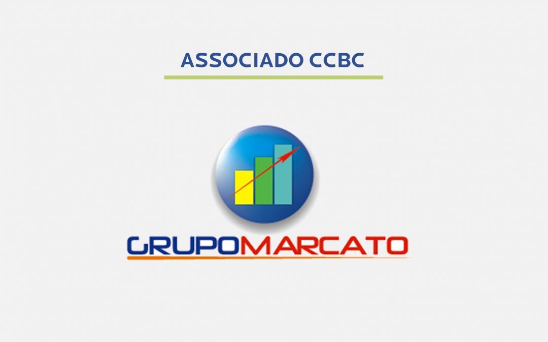 Grupo Marcato entra no Brasil Hub