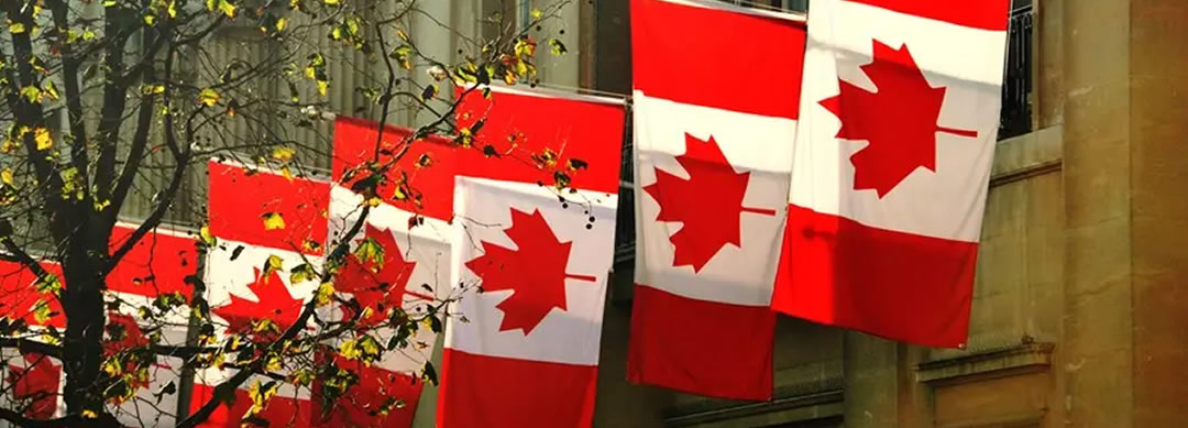 CCBC e Consulado Geral do Canadá fortalecem parcerias para promoção comercial